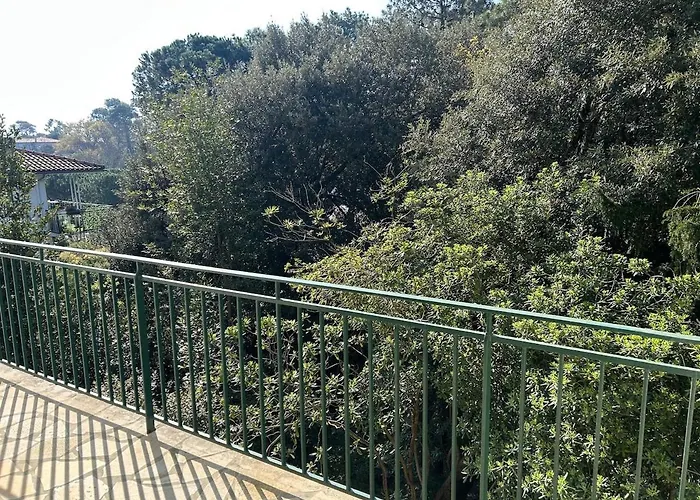 Appartement T3 Quartier Pereire